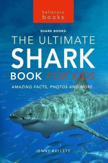 shark book for kids