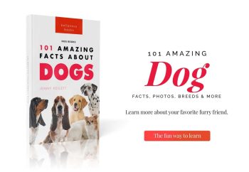 amazing dog facts book