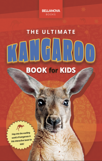 kangaroo book for kids