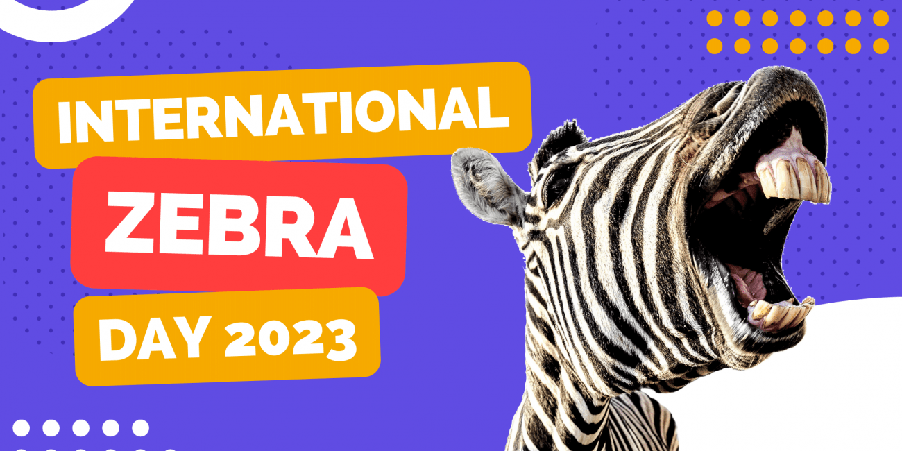 international zebra day 2023