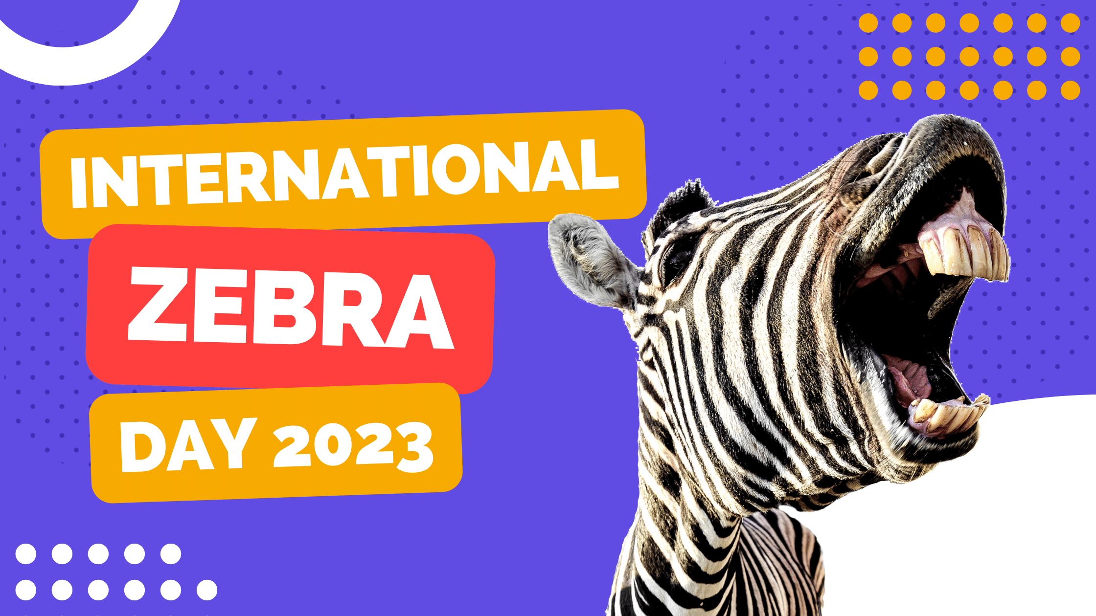 international zebra day 2023