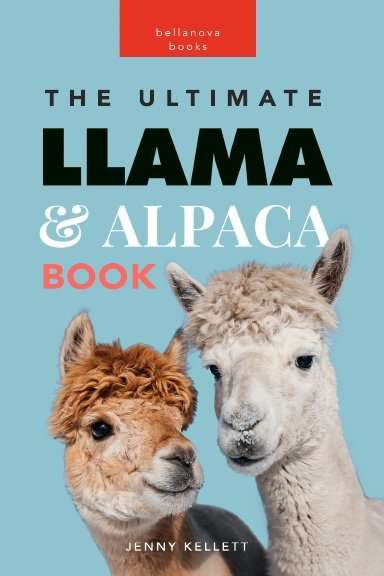 llama book for kids