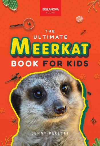 meerkat book for kids