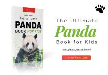 the ultimate pand abook for kids promo image