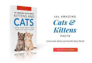 best cat books
