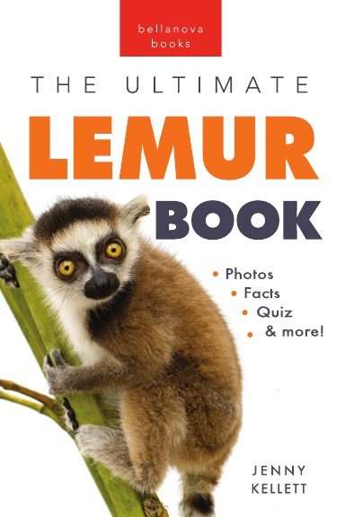lemur book for kids