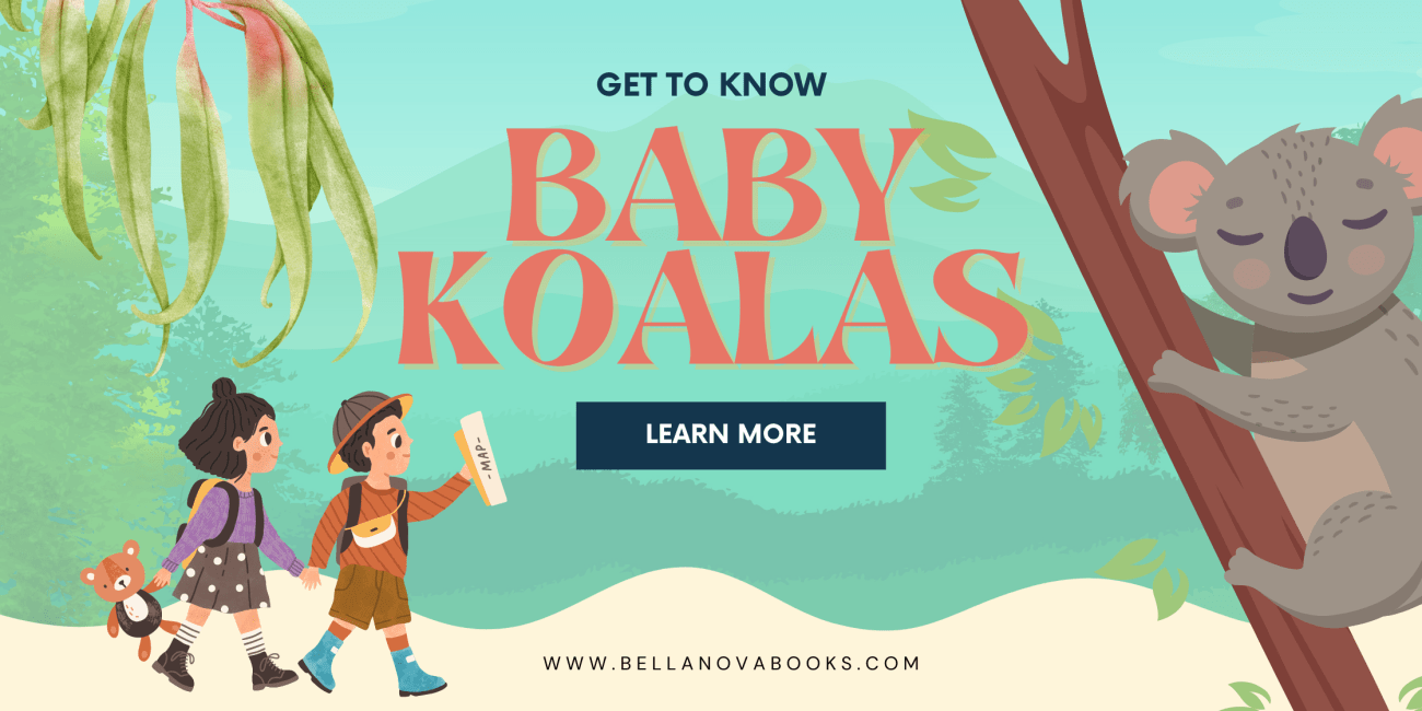 baby koala facts