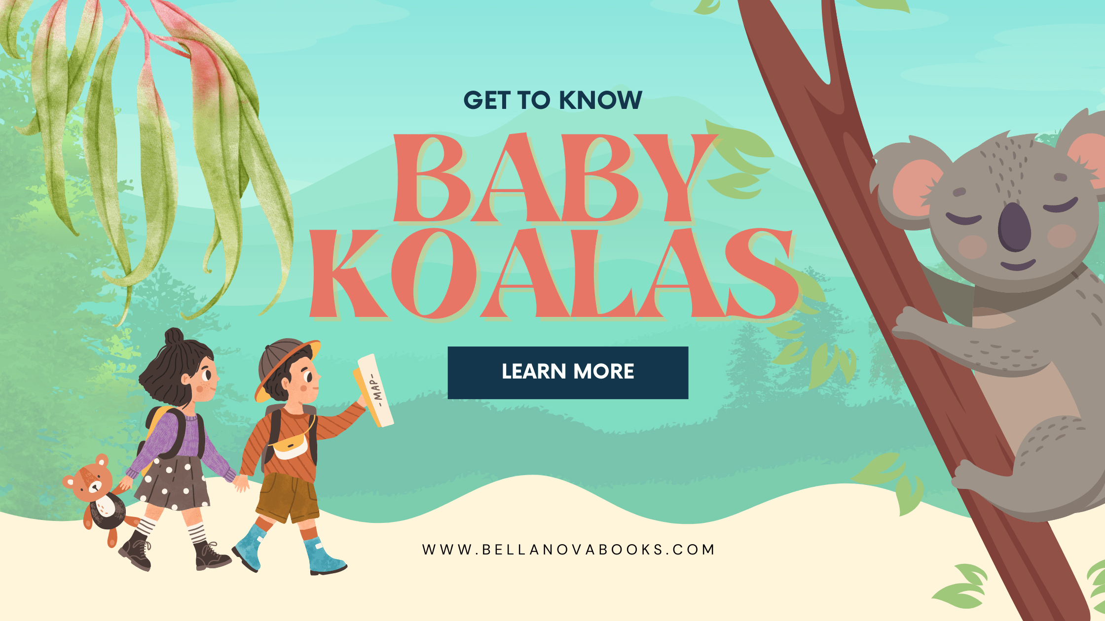 baby koala facts