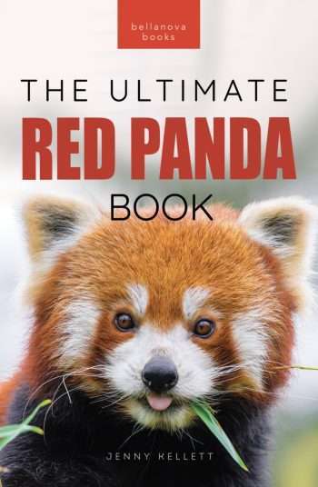red panda book for kids