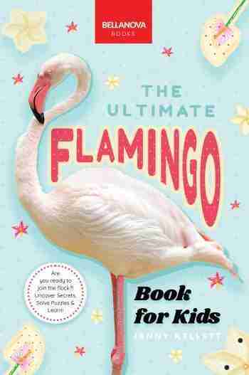flamingo book for kids