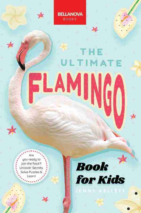 flamingo book for kids