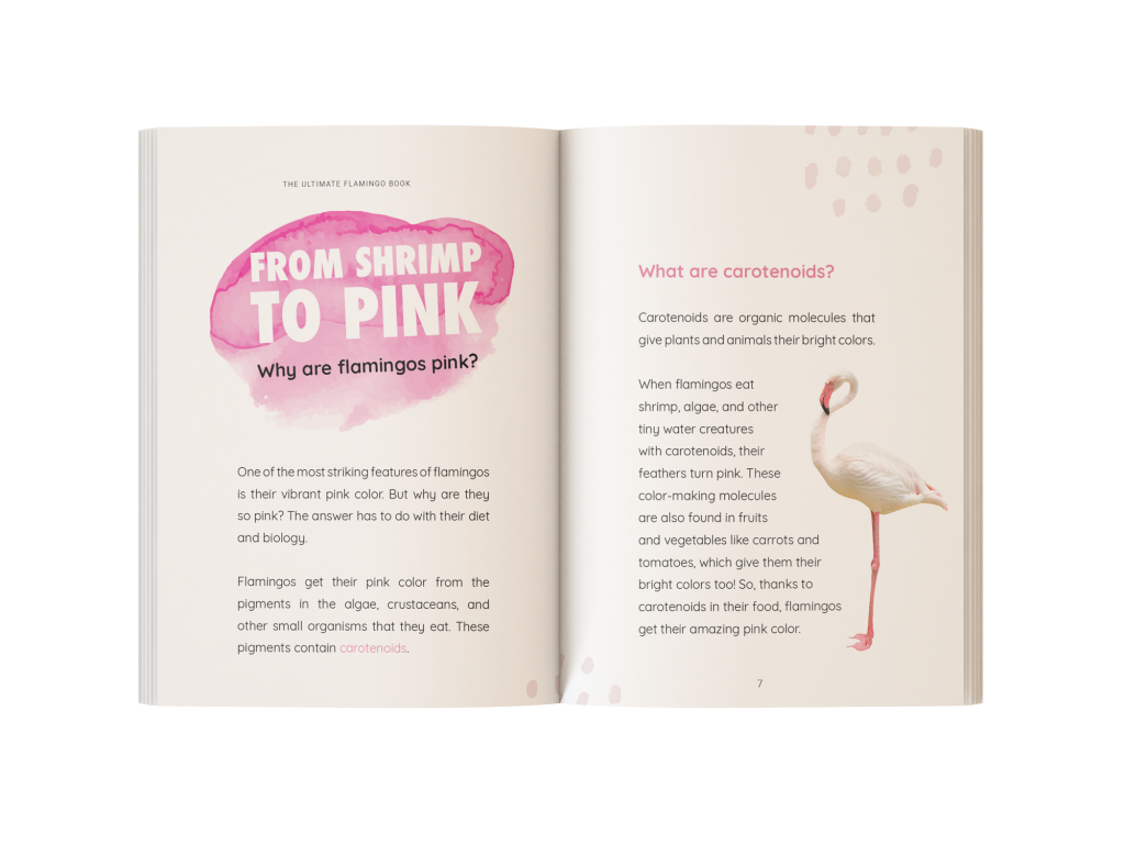 The Ultimate Flamingo Book for Kids paperback cover with vibrant pink flamingo photo, perfect for ages 9 and up.