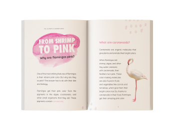 flamingo book for kids