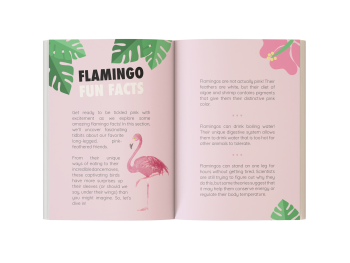 flamingo book for kids