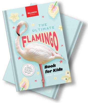 flamingo kids book