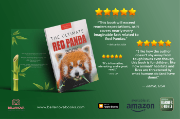 red panda book for kids