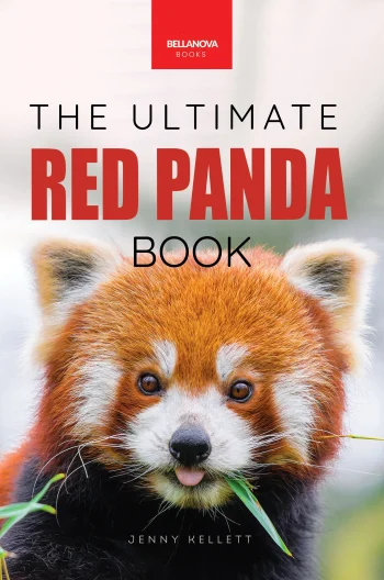 the ultimate red panda book for kids