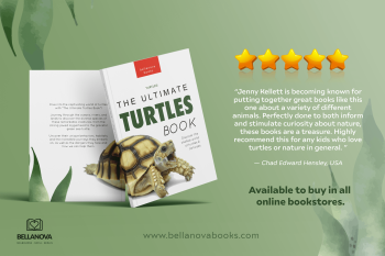 turtle book for kids reviews