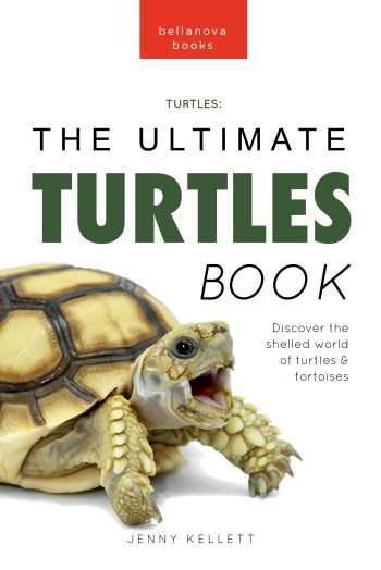 turtle book for kids