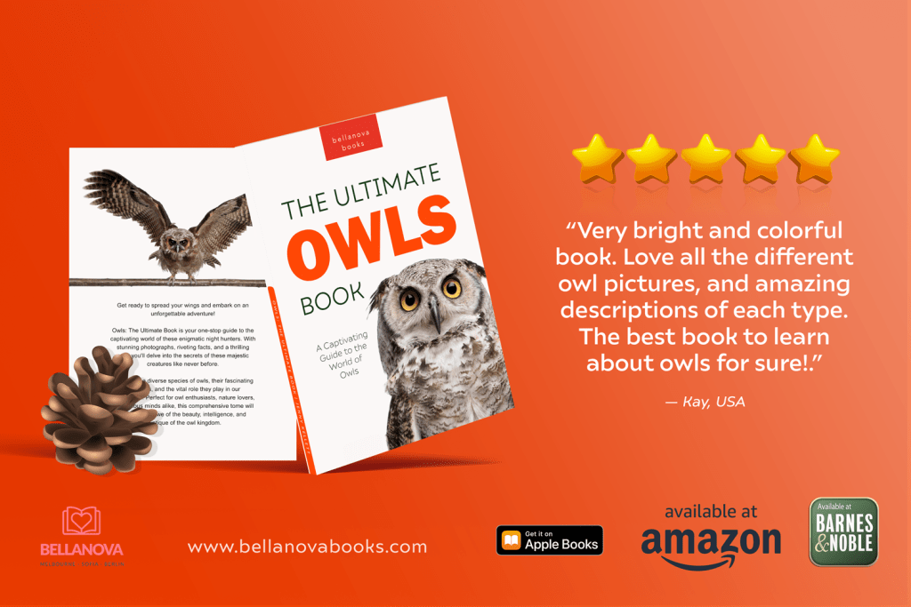 The Ultimate Owl Book for Kids paperback cover featuring colorful close-up images of owls for children aged 9+.