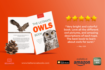 The Ultimate Owl Book for Kids paperback cover featuring colorful close-up images of owls for children aged 9+.