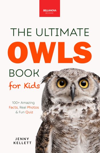 ultimate owl book for kids