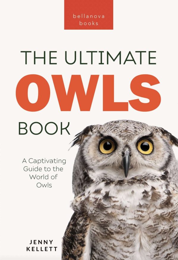 owl book for kids