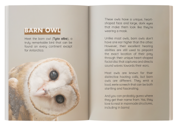 books about owls