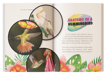 hummingbirds facts