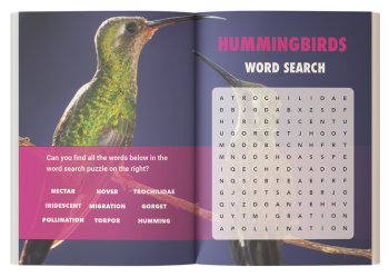 hummingbird kids book