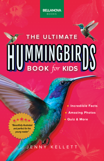 hummingbird book for kids