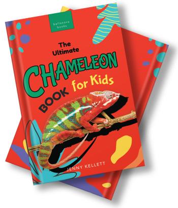 chameleon book for kids