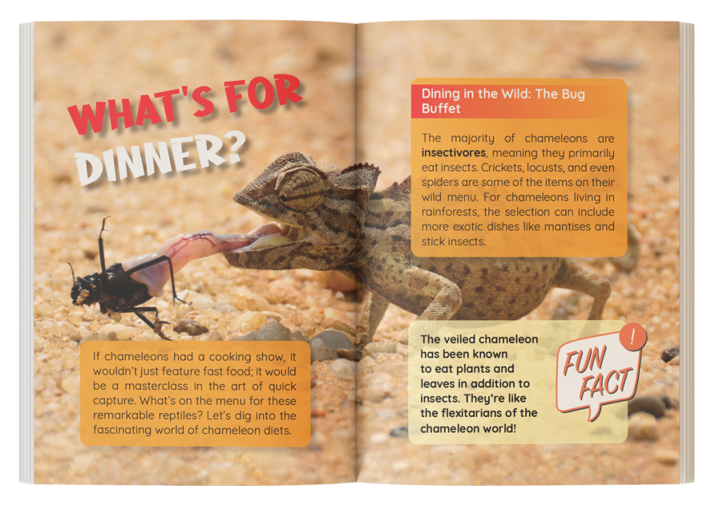 Inside page showing fun facts about chameleon color changes, vision, and adaptations.