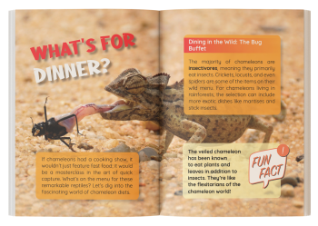 chameleon book for kids