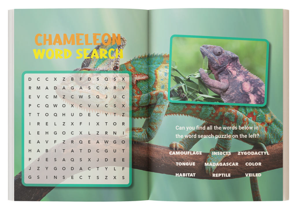Interactive quiz and word search puzzle page from The Ultimate Chameleon Book for Kids.