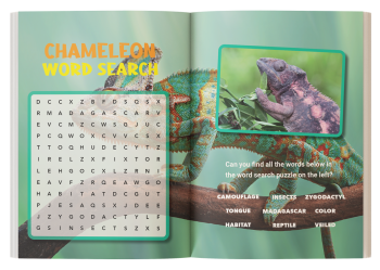 chameleons for kids