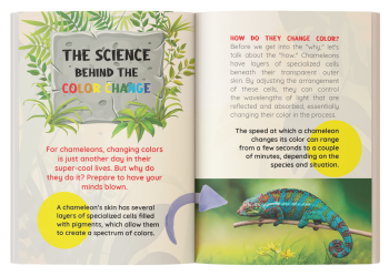 chameleons for kids