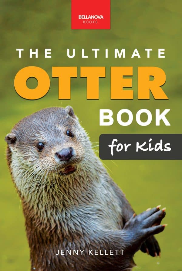 ultimate otter book for kids