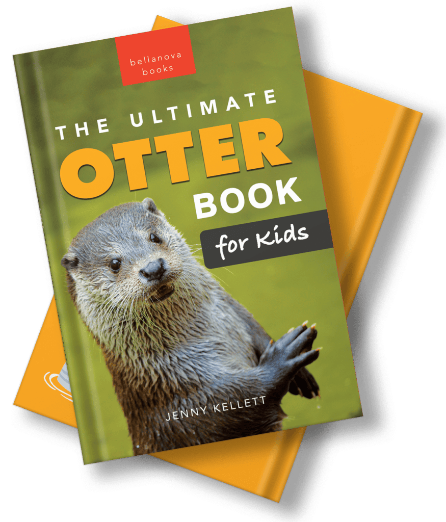 otter book for kids