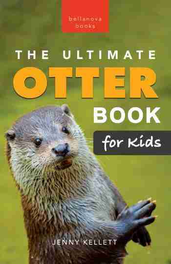otter book for kids