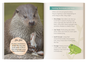 childrens otter books