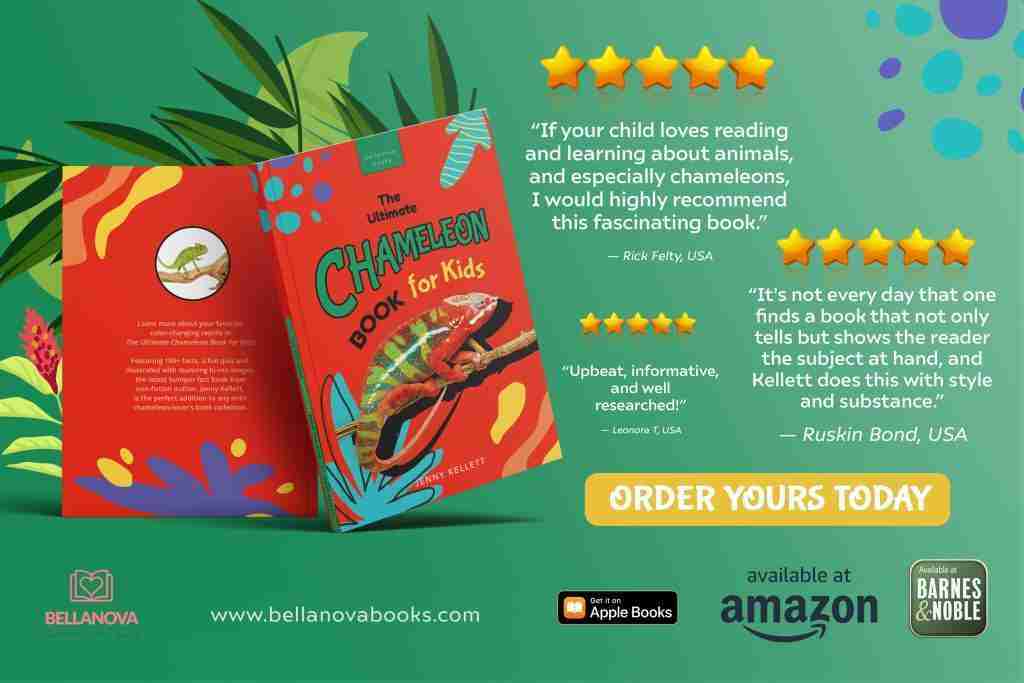 Chameleon book for kids