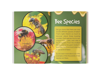 bee book for kids