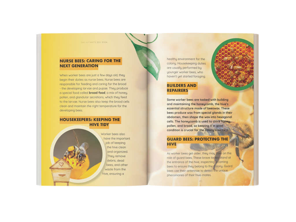 bee book for kids
