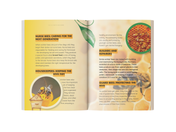bee book for kids