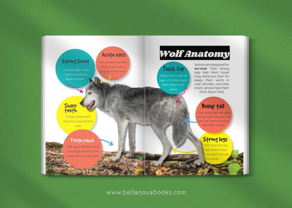 Interactive quiz and word search activity page from The Ultimate Wolf Book for Kids.