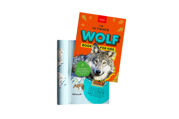 wolf book for kids
