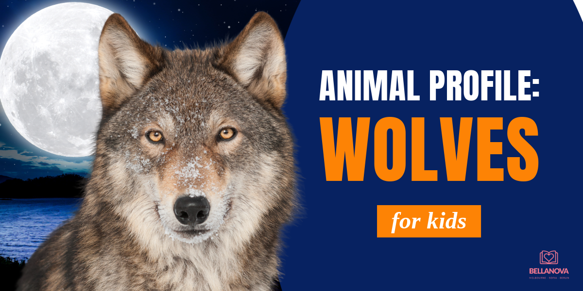 wolf fun facts