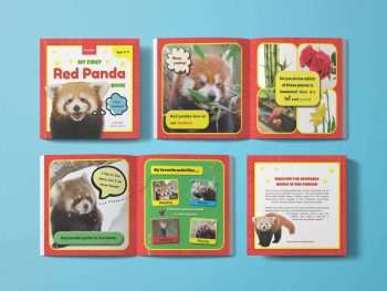 red panda toddler book