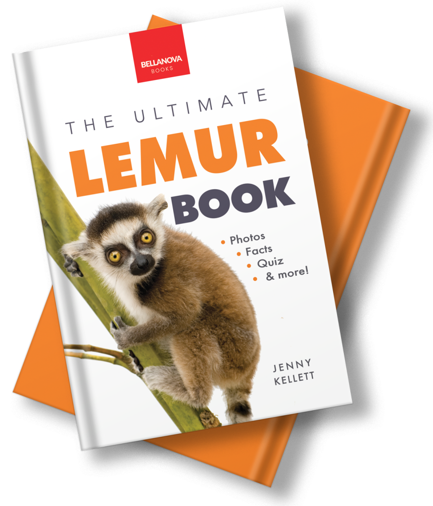 lemur book for kids
